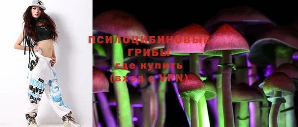 молекула духа Костерёво