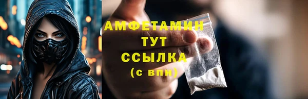 молекула духа Костерёво