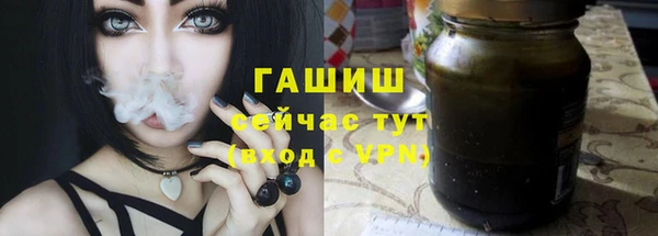 PSILOCYBIN Корсаков