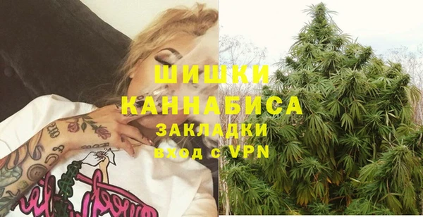PSILOCYBIN Корсаков