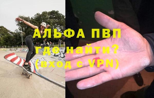 PSILOCYBIN Корсаков
