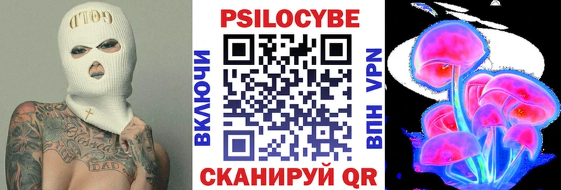 Псилоцибиновые грибы Psilocybe  блэк спрут ONION  Мамадыш  где можно купить наркотик 
